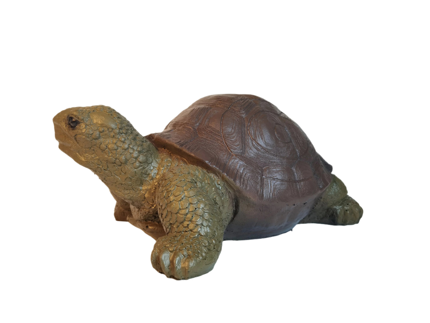 Evercatch 3D Turtle