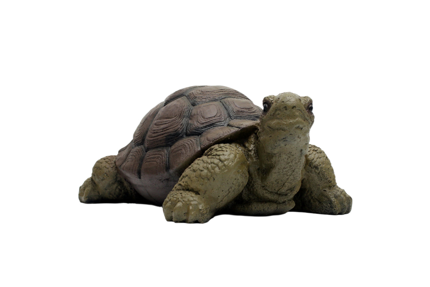 Evercatch 3D Turtle