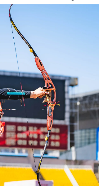 Bosen Stronghold ILF Riser For Target Barebow