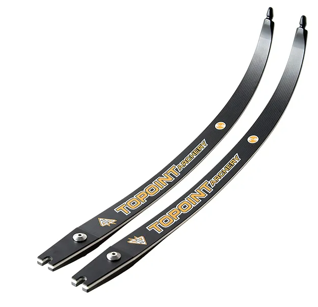 Topoint Aerodyn 3K High Modulus Carbon Foam Core ILF Limbs