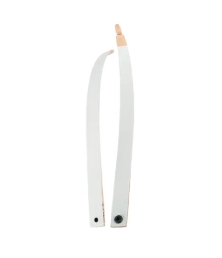 Topoint R7 Recurve Limbs