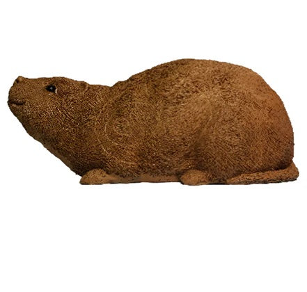 Evercatch 3D Bamboo Rat Target