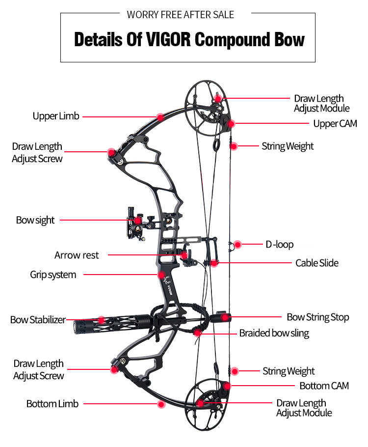 Daibow Vigor Compound Bow Package