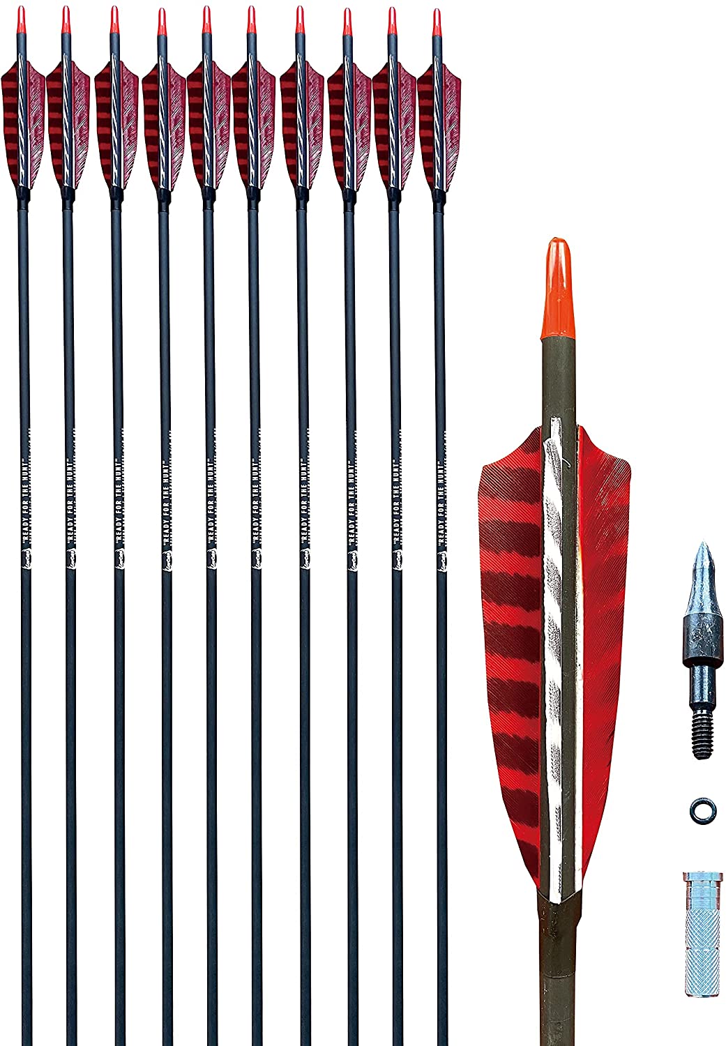 Evercatch 12x 30.5" PURE CARBON ARROWS FEATHER RECURVE BOW LONGBOW HUNTING TARGET