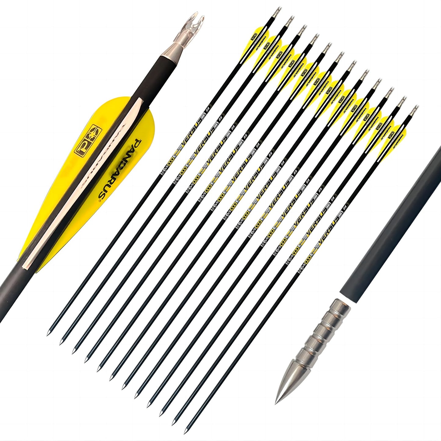 Pandarus Versus 23 Fat Arrows DZ