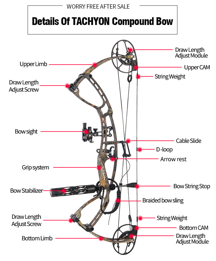 Daibow Tachyon Compound Bow Hunting Compound Bow CNC Riser Right Handed Bow only