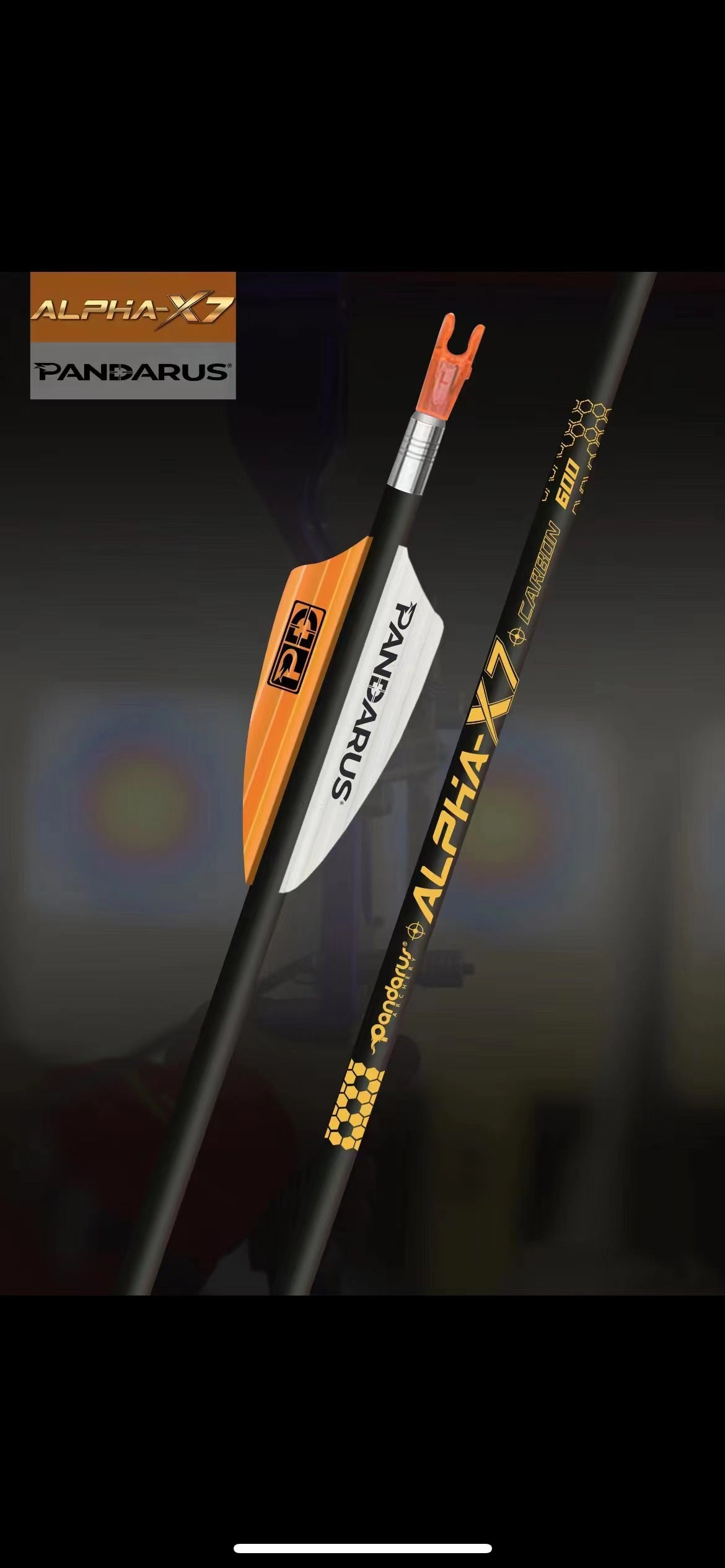 Pandarus Alpha XT Target Carbon Arrows