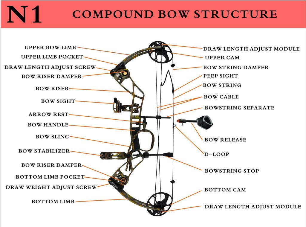 Evercatch Scorpian 19-30" COMPOUND BOW & ARROW HUNTING TARGET ARCHERY 20-70LBS Bow Case