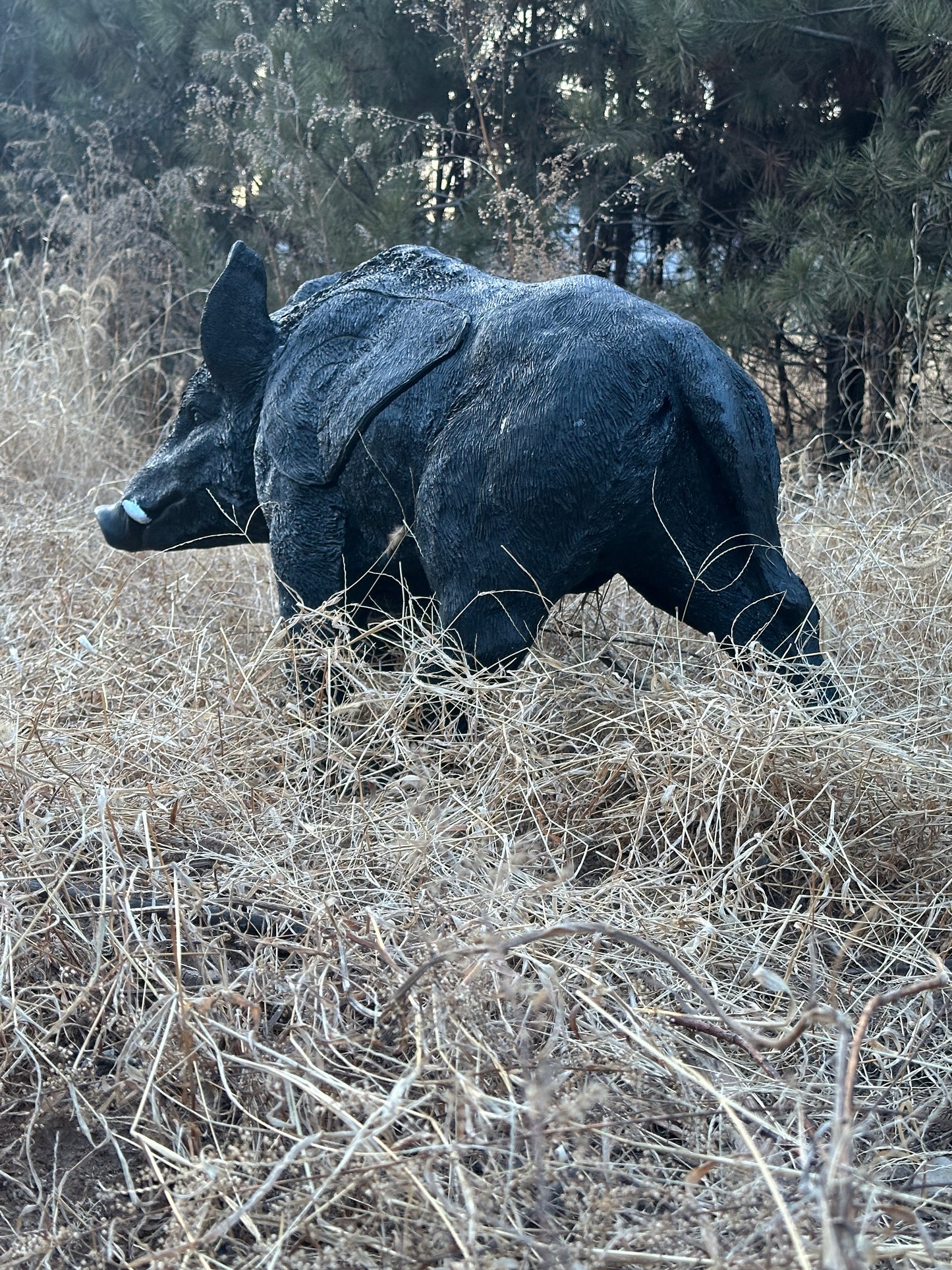 Evercatch Feral Boar 3D Archery Target