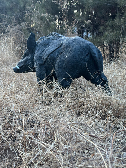 Evercatch Feral Boar 3D Archery Target