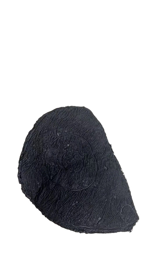 3D Boar Target Core Replacement