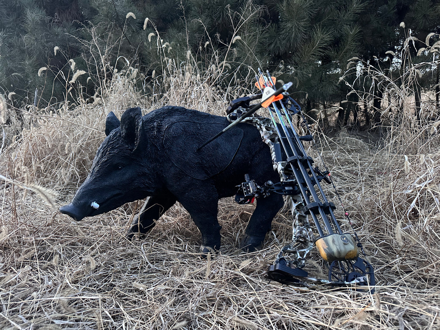 Evercatch Feral Boar 3D Archery Target