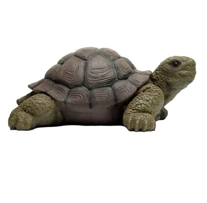 Evercatch 3D Turtle
