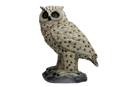 Evercatch 3D Owl