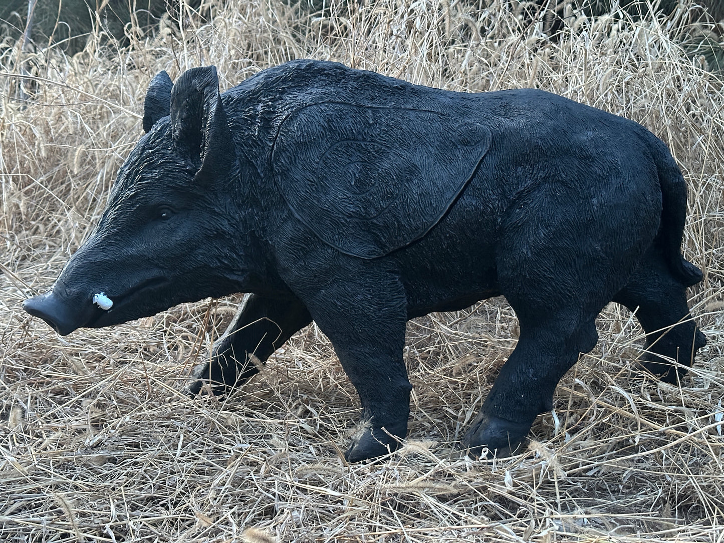 Evercatch Feral Boar 3D Archery Target