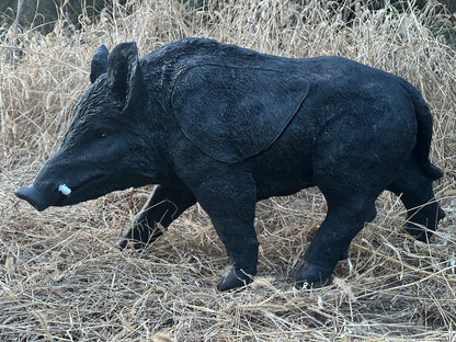 Evercatch Feral Boar 3D Archery Target