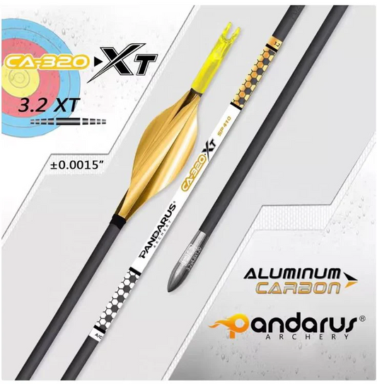 Pandarus CA320 XT Barrel shafts Stainless Steel Points