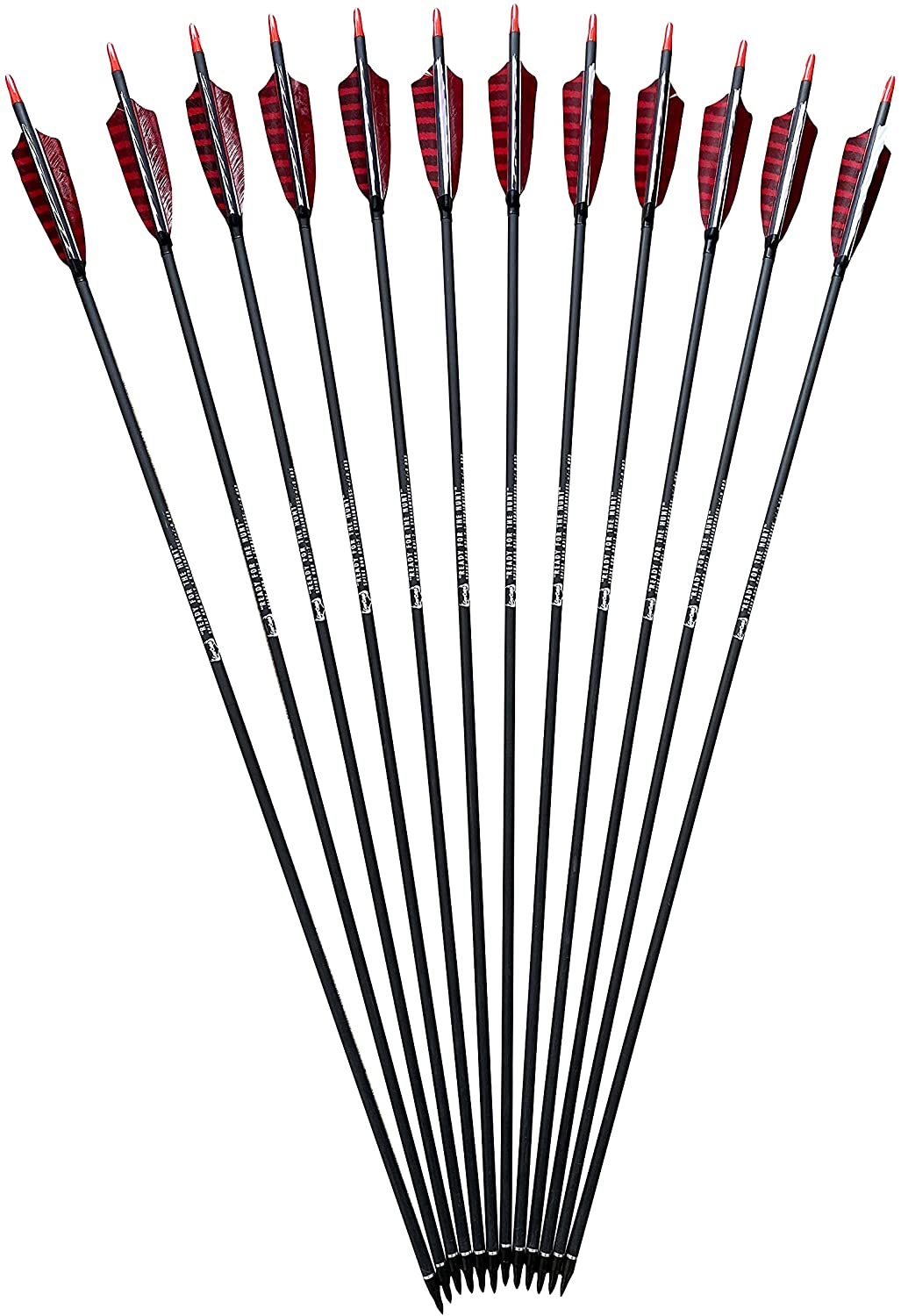 HNZMDY 31” Pure Carbon Arrows – SP340-600 Screw Tips – Compound & Recurve Bow Hunting (6/12pcs)