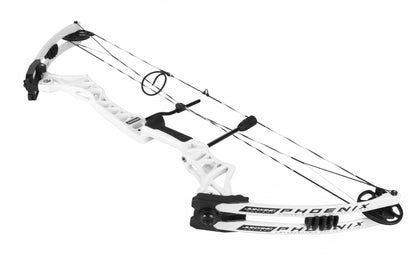 Junxing Pheonix Target Compound Bow Right handed M108