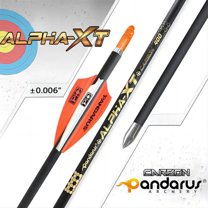 Pandarus Alpha XT Target Carbon Arrows